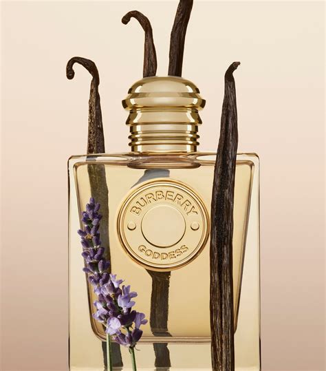 nouveau parfum burberry femme goddess|goddess de burberry parfum.